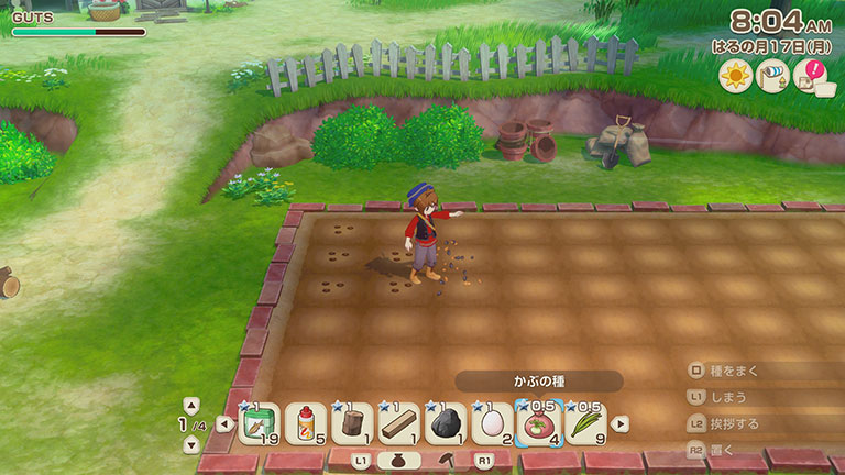 種まき