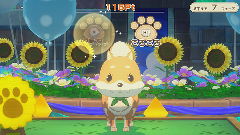 ペットコンテスト