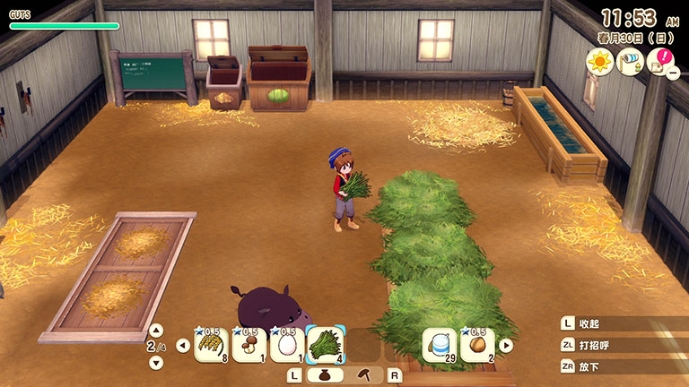 動物小屋