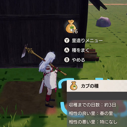 畑
