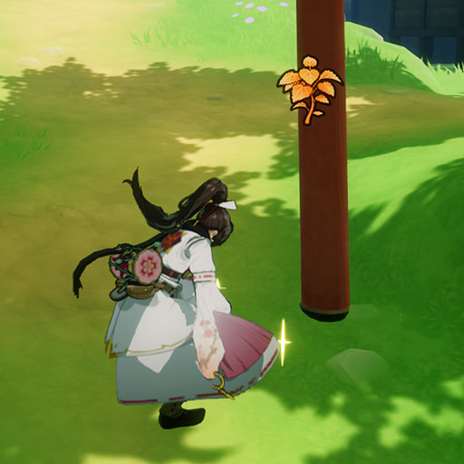 採集