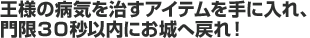 王様の病気を治すアイテムを手に入れ、門限３０秒以内にお城へ戻れ！