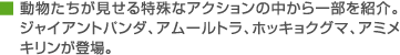 動物たちが見せる特殊なアクションの中から一部を紹介。ジャイアントパンダ、アムールトラ、ホッキョクグマ、アミメキリンが登場。