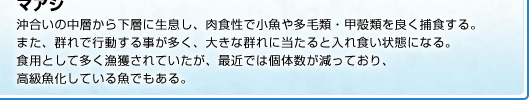 沖合いの中層から下層に生息し、肉食性で小魚や多毛類・甲殻類を良く捕食する。また、群れで行動する事が多く、大きな群れに当たると入れ食い状態になる。食用として多く漁獲されていたが、最近では個体数が減っており、高級魚化している魚でもある。