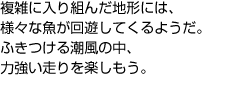 複雑に入り組んだ地形には、様々な魚が回遊してくるようだ。ふきつける潮風の中、力強い走りを楽しもう。