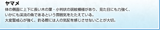 体の側面に上下に長い木の葉・小判状の斑紋模様があり、見た目にも力強く、いかにも渓流の魚であるという雰囲気をたたえている。大変警戒心が強く、釣る際には人の気配を感じさせないことが大切。