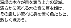 深緑の木々が目を奪う上方の流域。 清らかに流れる水の音に耳を傾け、その厳しい流れに身を置く魚たちと、激しく戦おう。