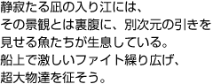 静寂たる凪の入り江には、 その景観とは裏腹に、別次元の引きを 見せる魚たちが生息している。 船上で激しいファイト繰り広げ、 超大物達を征そう。