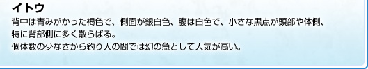 背中は青みがかった褐色で、側面が銀白色、腹は白色で、小さな黒点が頭部や体側、特に背部側に多く散らばる。個体数の少なさから釣り人の間では幻の魚として人気が高い。