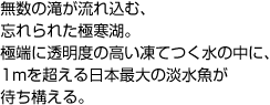 無数の滝が流れ込む、忘れられた極寒湖。極端に透明度の高い凍てつく水の中に、1mを超える日本最大の淡水魚が待ち構える。
