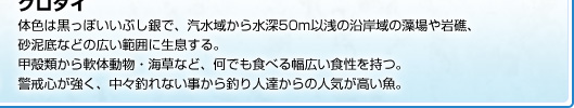 体色は黒っぽいいぶし銀で、汽水域から水深50m以浅の沿岸域の藻場や岩礁、砂泥底などの広い範囲に生息する。甲殻類から軟体動物・海草など、何でも食べる幅広い食性を持つ。警戒心が強く、中々釣れない事から釣り人達からの人気が高い魚。