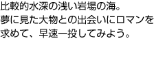 比較的水深の浅い岩場の海。夢に見た大物との出会いにロマンを求めて、早速一投してみよう。