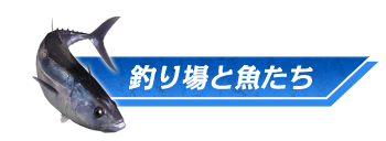 釣り場と魚たち