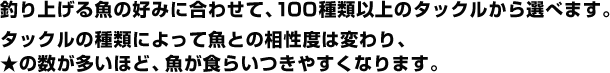 釣り上げる魚の好みに合わせて、100 種類以上のタックルから選べます。タックルの種類によって魚との相性度は変わり、★の数が多いほど、魚が食らいつきやすくなります。