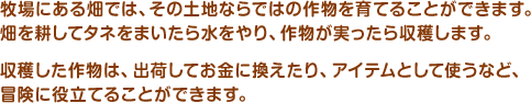 牧場にある畑では、その土地ならではの作物を育てることができます。畑を耕してタネをまいたら水をやり、作物が実ったら収穫します。収穫した作物は、出荷してお金に換えたり、アイテムとして使うなど、冒険に役立てることができます。