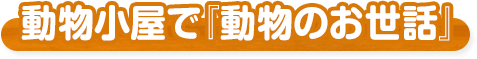 動物小屋で『動物のお世話』