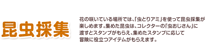 昆虫をつかまえよう 昆虫採集 花の咲いている場所では、「虫とりアミ」を使って昆虫採集が楽しめます。集めた昆虫は、コレクターの「虫おじさん」に渡すとスタンプがもらえ、集めたスタンプに応じて冒険に役立つアイテムがもらえます。