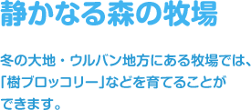 静かなる森の牧場 / 冬の大地・ウルバン地方にある牧場では、「樹ブロッコリー」などを育てることができます。