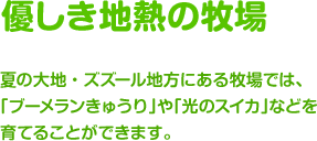 優しき地熱の牧場 / 夏の大地・ズズール地方にある牧場では、「ブーメランきゅうり」や「光のスイカ」などを育てることができます。