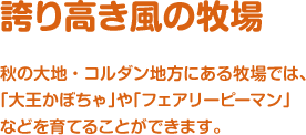 誇り高き風の牧場 / 秋の大地・コルダン地方にある牧場では、「大王かぼちゃ」や「フェアリーピーマン」などを育てることができます。