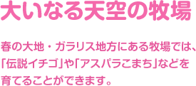 大いなる天空の牧場 / 春の大地・ガラリス地方にある牧場では、「伝説イチゴ」や「アスパラこまち」などを育てることができます。