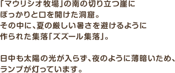 「マウリシオ牧場」の南の切り立つ崖にぽっかりと口を開けた洞窟。その中に、夏の厳しい暑さを避けるように作られた集落「ズズール集落」。日中も太陽の光が入らず、夜のように薄暗いため、ランプが灯っています。