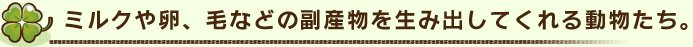 ミルクや卵、毛などの副産物を生み出してくれる動物たち。