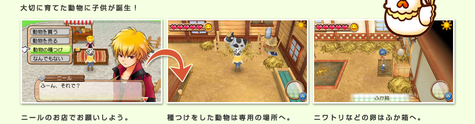 大切に育てた動物に子供が誕生！ ニールのお店でお願いしよう。 種つけをした動物は専用の場所へ。ニワトリなどの卵はふか箱へ。