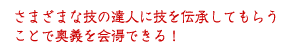 さまざまな技の達人に技を伝承してもらうことで奥義を会得できる！