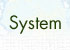 System