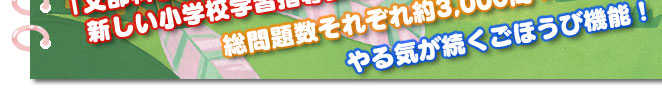 小学校１〜３年生「文部科学省による2008年の新しい小学校学習指導要領」に対応！総問題数それぞれ約3,000問！やる気が続くごほうび機能！１年生も楽しく学習！