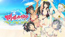 閃乱カグラ PEACH BEACH SPLASH SUNSHINE EDITION