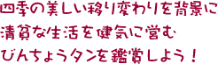 四季の美しい移り変わりを背景に、清貧な生活を健気に営むびんちょうタンを鑑賞しよう！