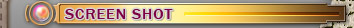 SCREEN SHOT　スクリーンショット