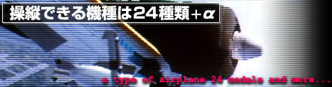 24種類+？