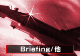 ブリーフィング