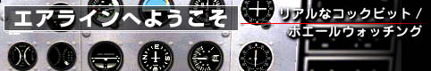 教習所へようこそ