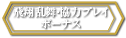 飛翔乱舞・協力プレイ・ボーナス