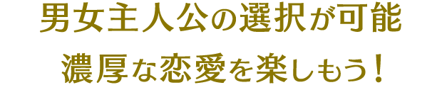 男女主人公の選択が可能濃厚な恋愛を楽しもう！