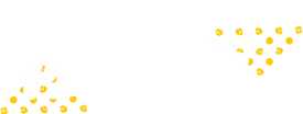 限定版 Limited