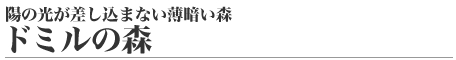 陽の光が差し込まない薄暗い森ドミルの森