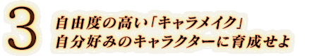 3. 自由度の高い「キャラメイク」 自分好みのキャラクターに育成せよ