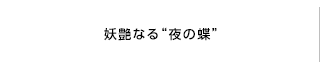 妖艶なる“夜の蝶”