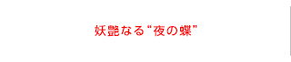 妖艶なる“夜の蝶”