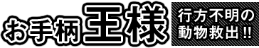 お手柄王様 行方不明の動物救出!!