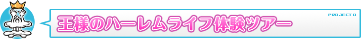 王様のハーレムライフ体験ツアー