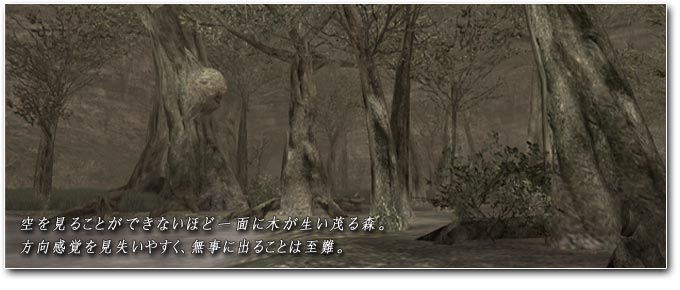 空を見ることができないほど一面に木が生い茂る森。方向感覚を見失いやすく、無事に出ることは至難。