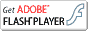 Adobe Flash Playerのダウンロード