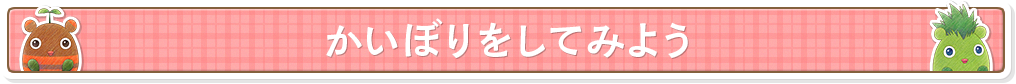 かいぼりをしてみよう