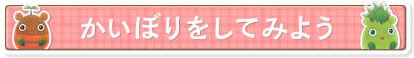 かいぼりをしてみよう